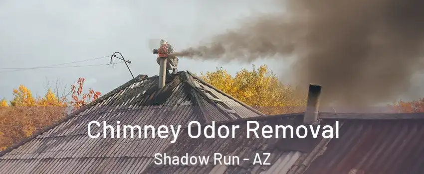 Chimney Odor Removal Shadow Run - AZ