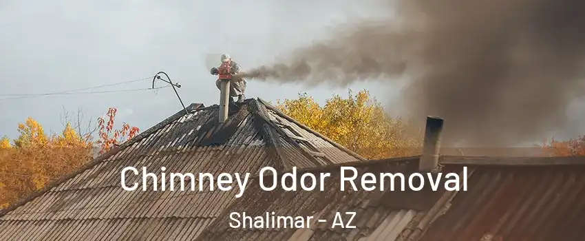 Chimney Odor Removal Shalimar - AZ