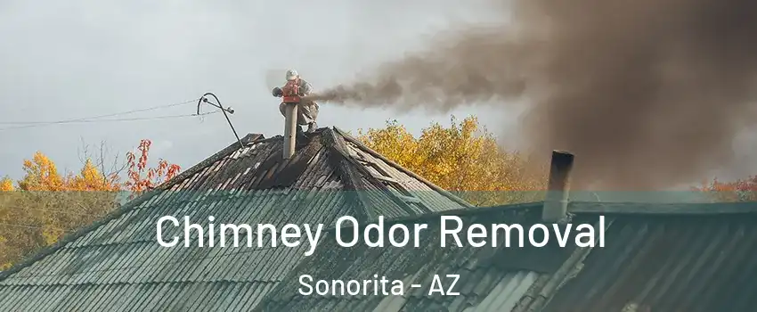 Chimney Odor Removal Sonorita - AZ
