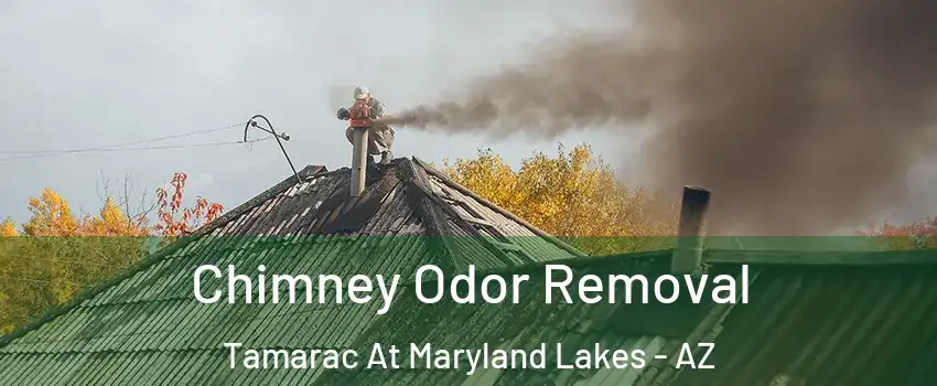 Chimney Odor Removal Tamarac At Maryland Lakes - AZ