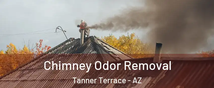Chimney Odor Removal Tanner Terrace - AZ