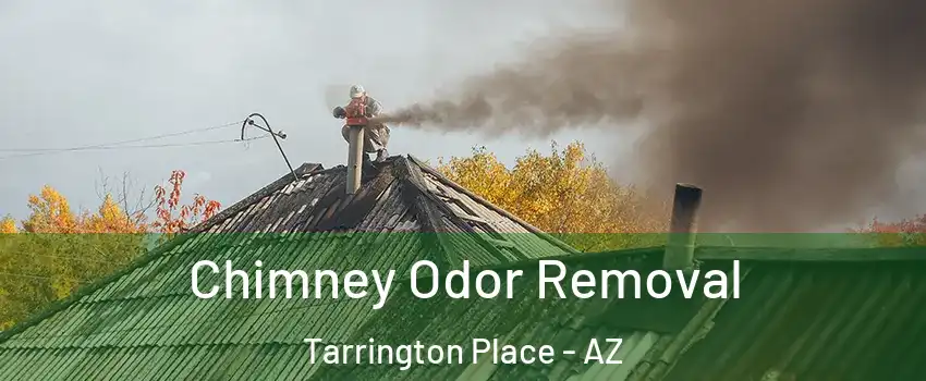 Chimney Odor Removal Tarrington Place - AZ