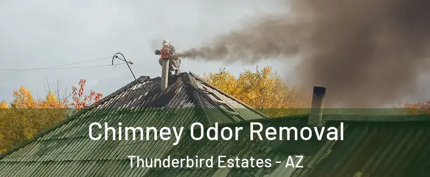 Chimney Odor Removal Thunderbird Estates - AZ