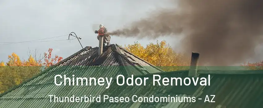 Chimney Odor Removal Thunderbird Paseo Condominiums - AZ