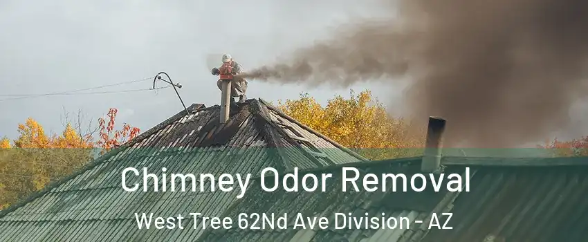 Chimney Odor Removal West Tree 62Nd Ave Division - AZ
