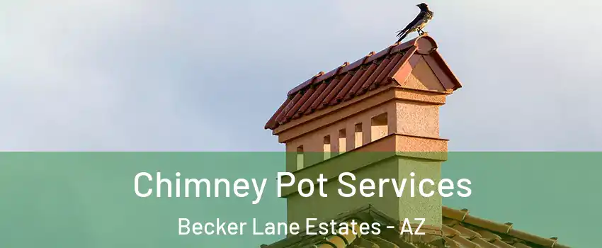 Chimney Pot Services Becker Lane Estates - AZ