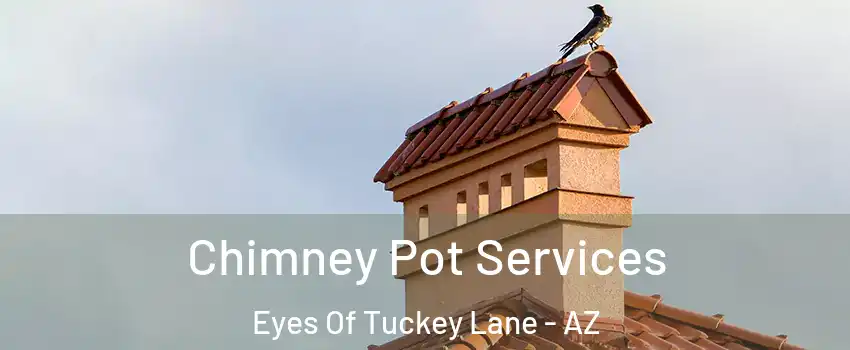 Chimney Pot Services Eyes Of Tuckey Lane - AZ