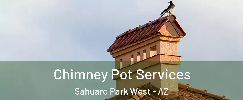 Chimney Pot Services Sahuaro Park West - AZ