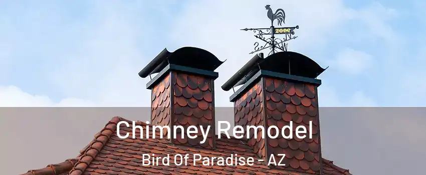 Chimney Remodel Bird Of Paradise - AZ