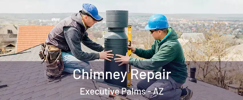 Chimney Repair Executive Palms - AZ