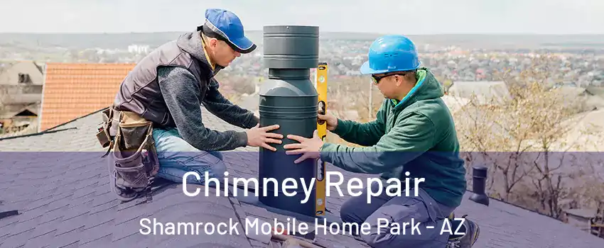 Chimney Repair Shamrock Mobile Home Park - AZ