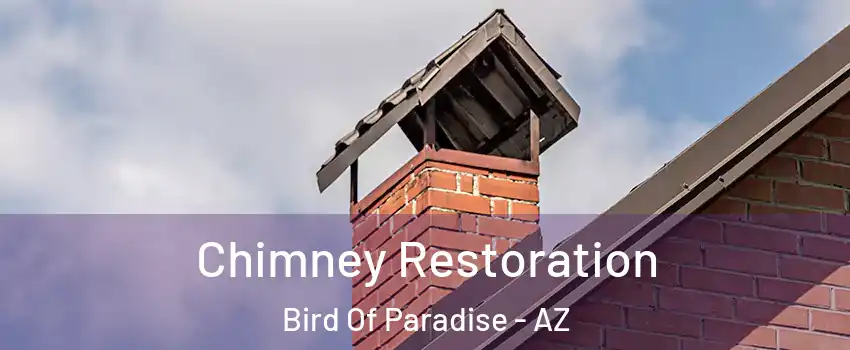 Chimney Restoration Bird Of Paradise - AZ