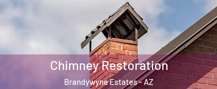 Chimney Restoration Brandywyne Estates - AZ