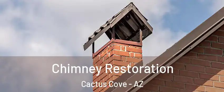 Chimney Restoration Cactus Cove - AZ