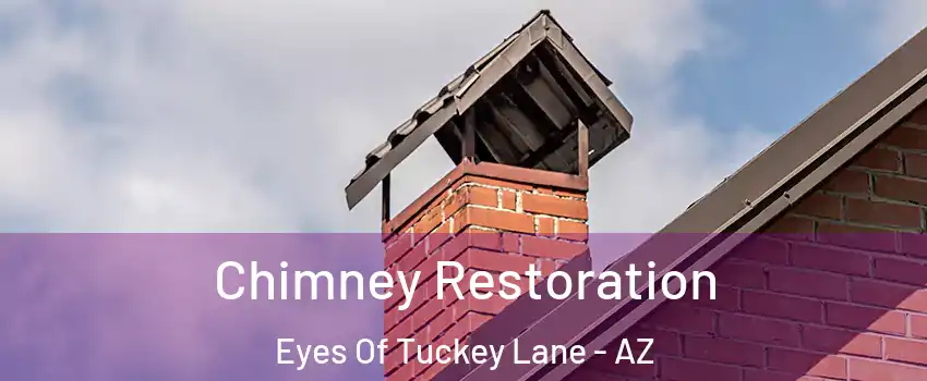 Chimney Restoration Eyes Of Tuckey Lane - AZ