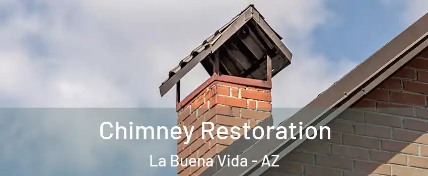 Chimney Restoration La Buena Vida - AZ