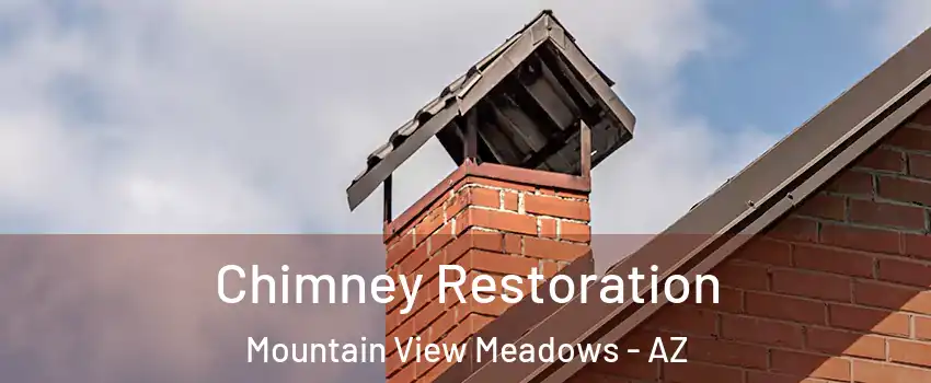Chimney Restoration Mountain View Meadows - AZ