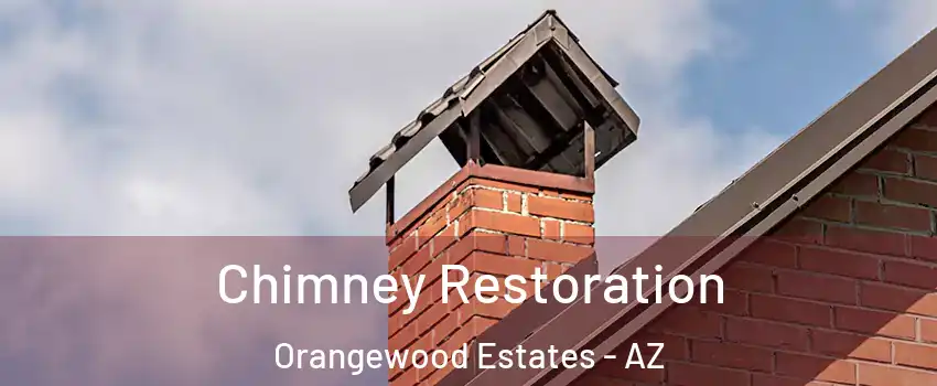 Chimney Restoration Orangewood Estates - AZ
