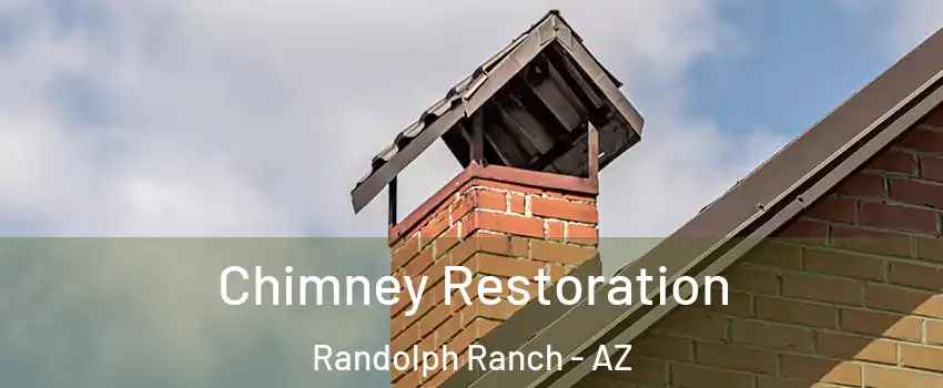 Chimney Restoration Randolph Ranch - AZ