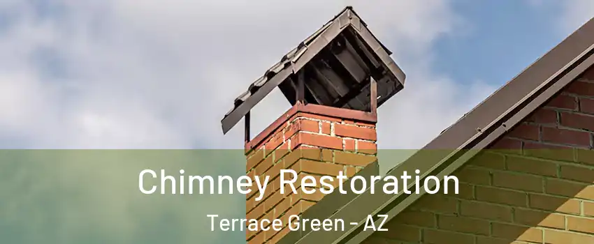Chimney Restoration Terrace Green - AZ