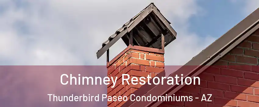 Chimney Restoration Thunderbird Paseo Condominiums - AZ