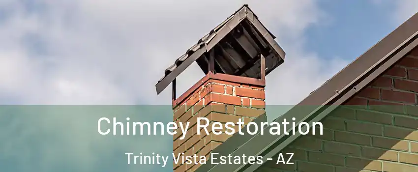 Chimney Restoration Trinity Vista Estates - AZ