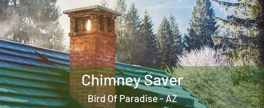 Chimney Saver Bird Of Paradise - AZ