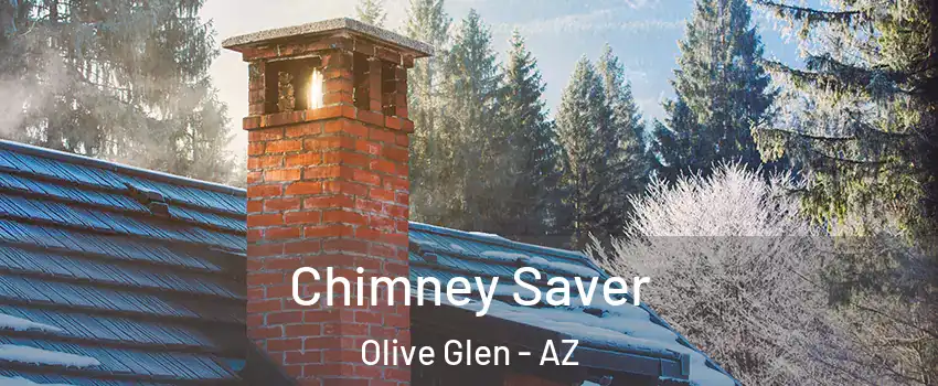 Chimney Saver Olive Glen - AZ