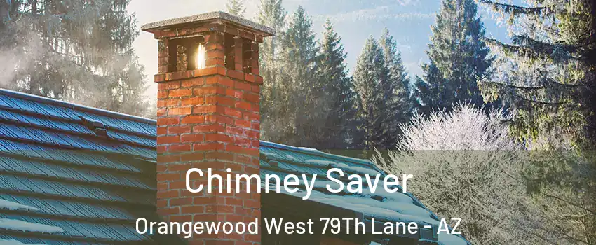 Chimney Saver Orangewood West 79Th Lane - AZ