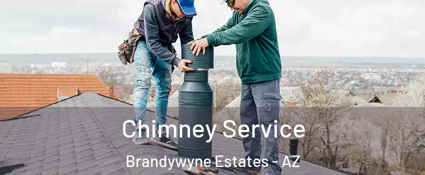 Chimney Service Brandywyne Estates - AZ
