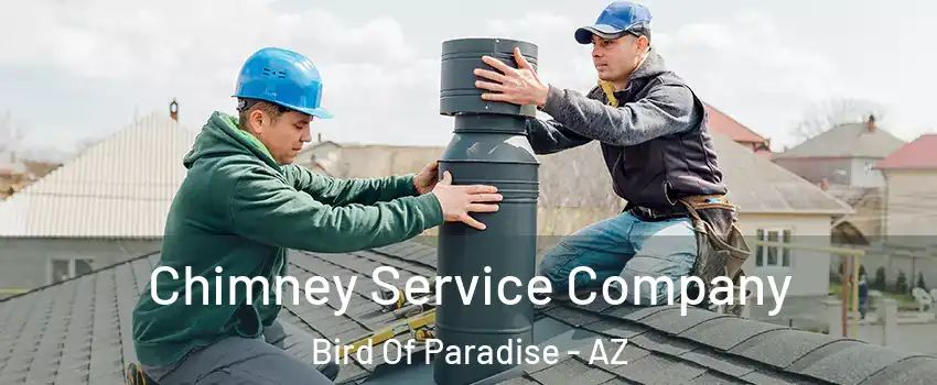 Chimney Service Company Bird Of Paradise - AZ