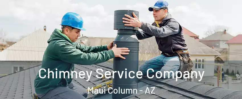 Chimney Service Company Maui Column - AZ