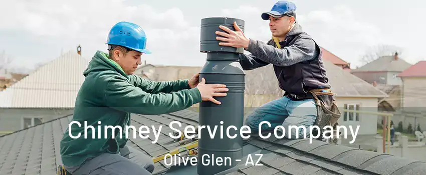 Chimney Service Company Olive Glen - AZ