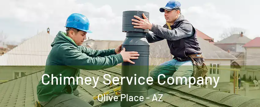 Chimney Service Company Olive Place - AZ