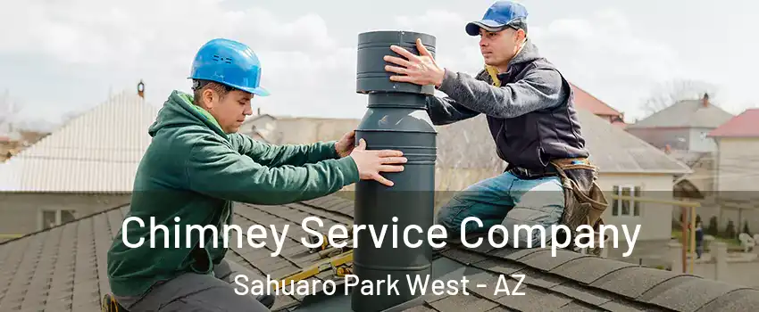 Chimney Service Company Sahuaro Park West - AZ