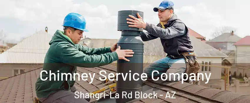 Chimney Service Company Shangri-La Rd Block - AZ