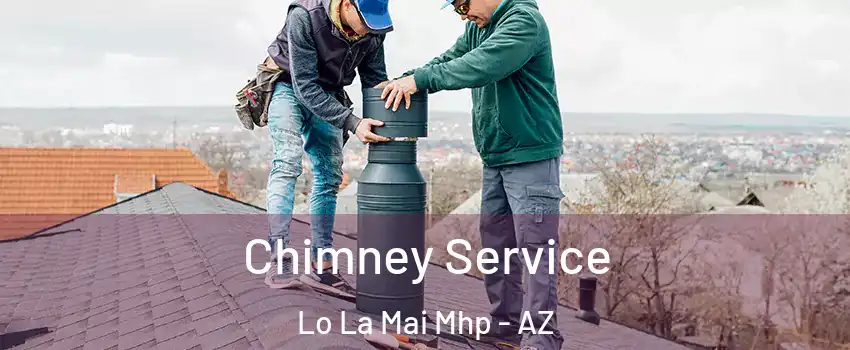Chimney Service Lo La Mai Mhp - AZ