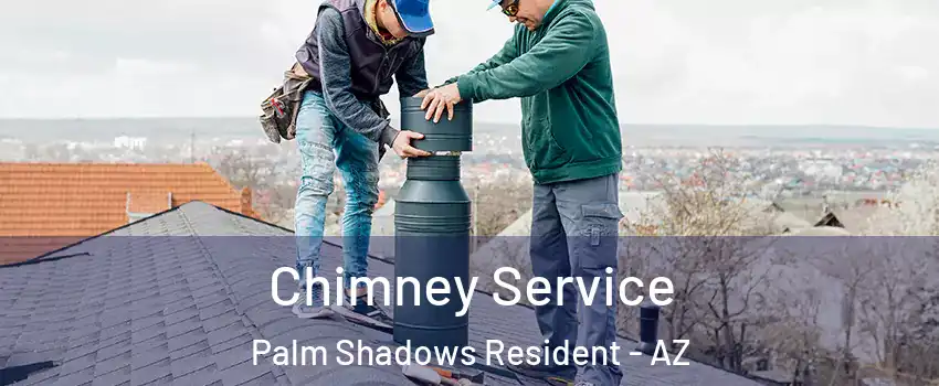 Chimney Service Palm Shadows Resident - AZ