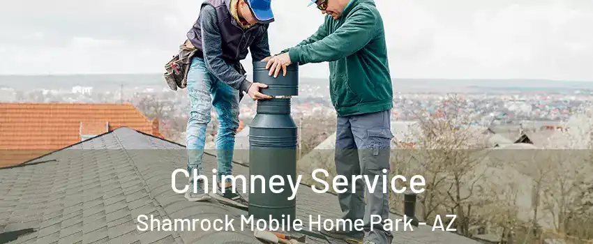 Chimney Service Shamrock Mobile Home Park - AZ