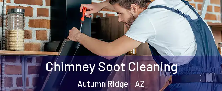 Chimney Soot Cleaning Autumn Ridge - AZ