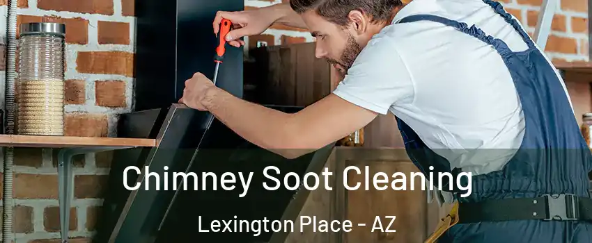 Chimney Soot Cleaning Lexington Place - AZ