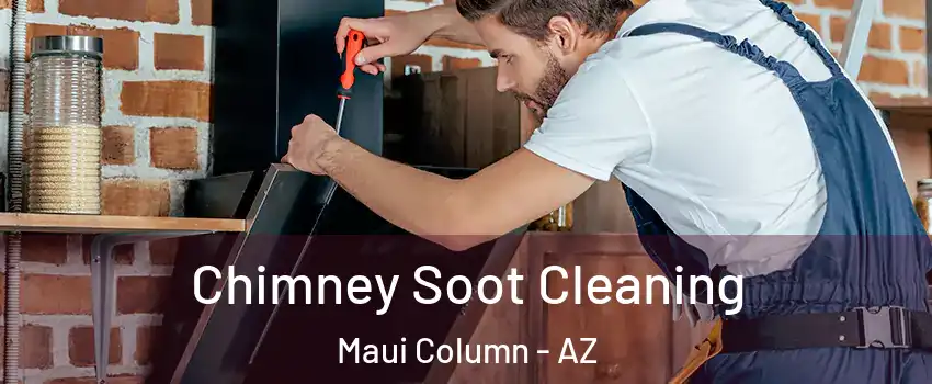 Chimney Soot Cleaning Maui Column - AZ