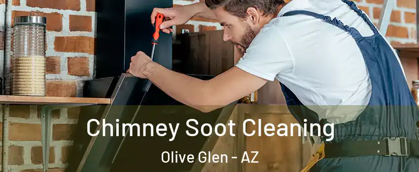 Chimney Soot Cleaning Olive Glen - AZ