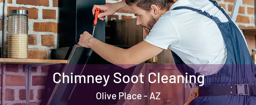Chimney Soot Cleaning Olive Place - AZ