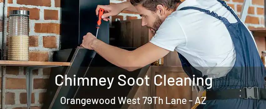Chimney Soot Cleaning Orangewood West 79Th Lane - AZ