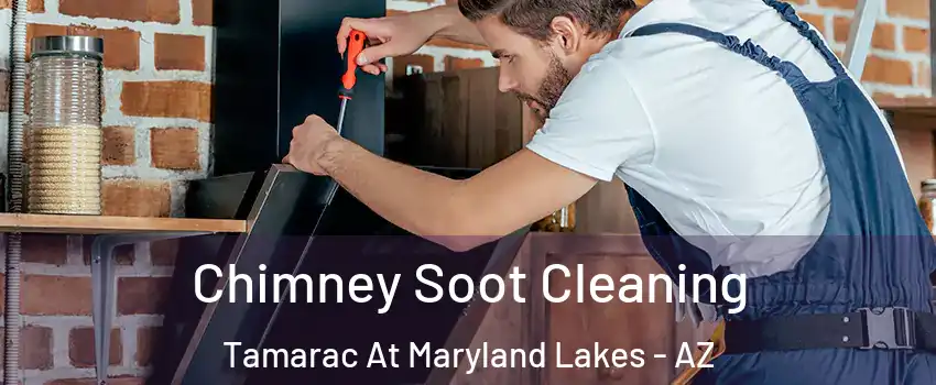 Chimney Soot Cleaning Tamarac At Maryland Lakes - AZ
