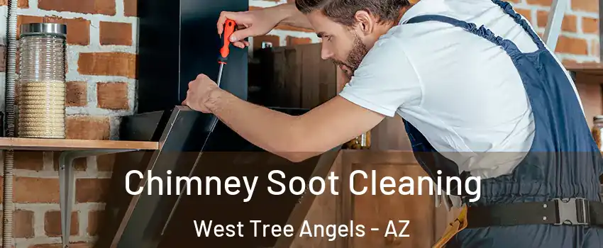 Chimney Soot Cleaning West Tree Angels - AZ