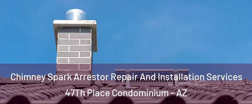 Chimney Spark Arrestor Repair And Installation Services 47Th Place Condominium - AZ