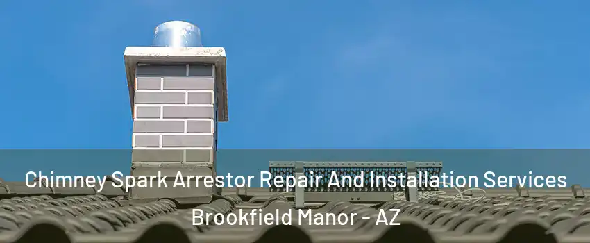 Chimney Spark Arrestor Repair And Installation Services Brookfield Manor - AZ