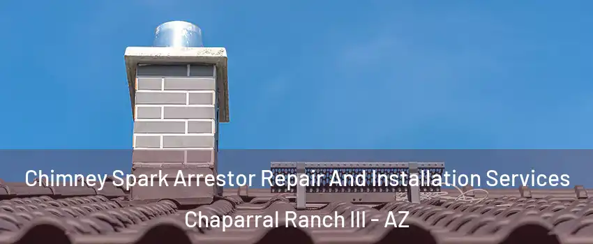Chimney Spark Arrestor Repair And Installation Services Chaparral Ranch III - AZ